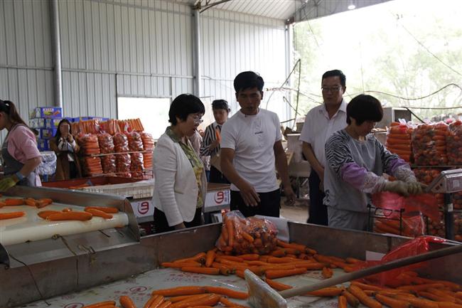 计生用品_榆林市人口计生网